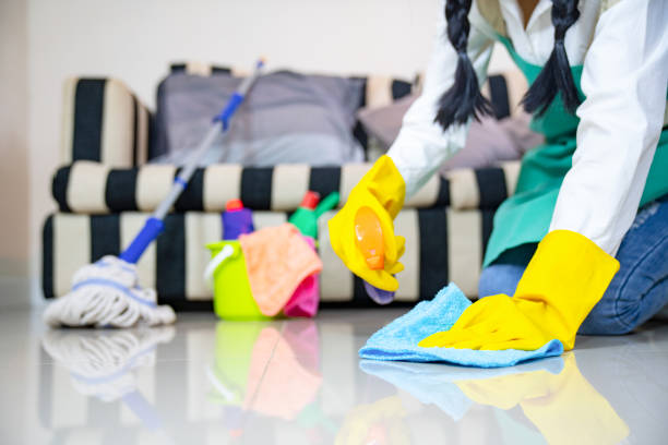 Sofa & Carpet Cleaning | Shine Home Ltd